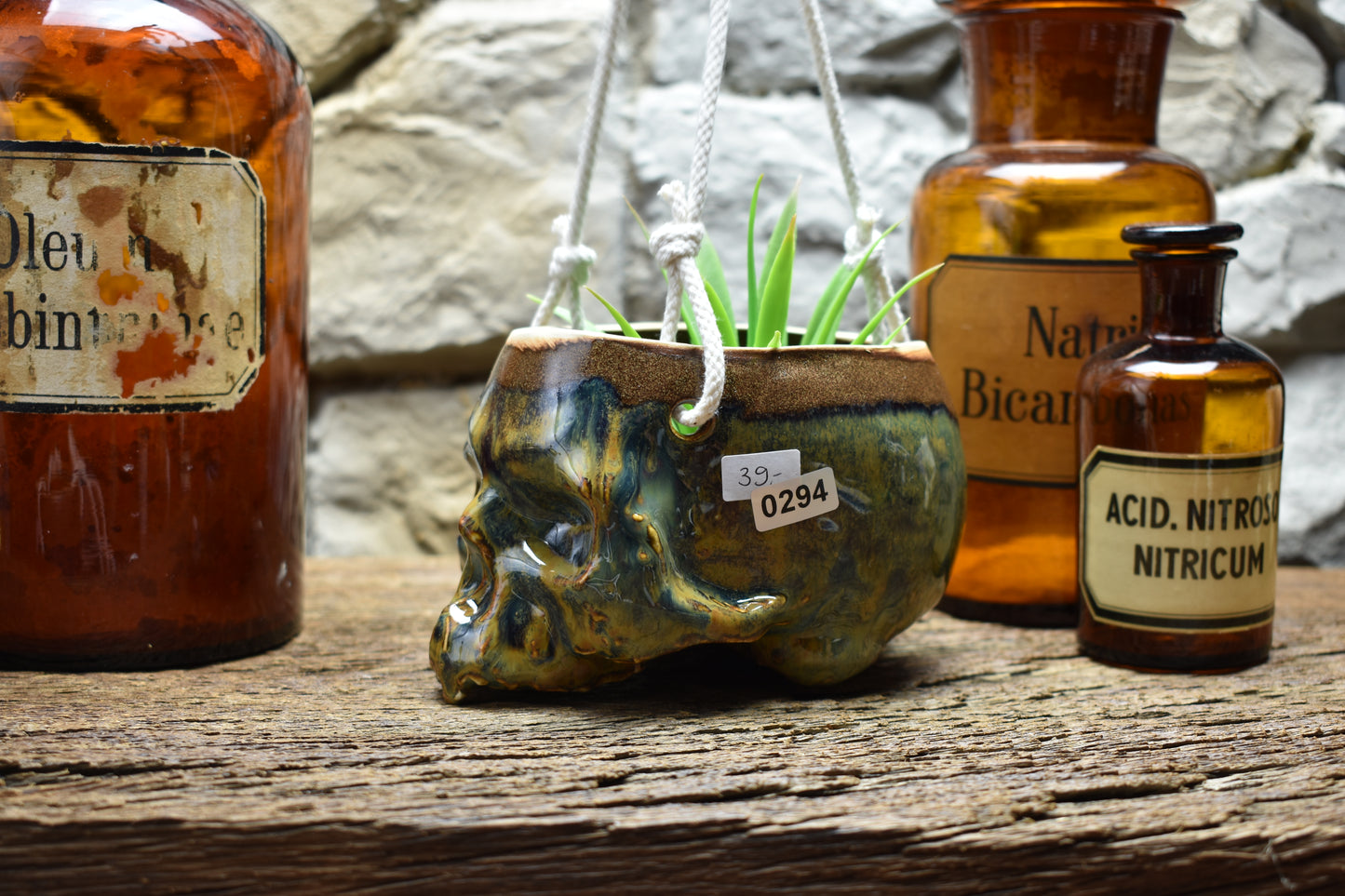 Small hanging skull plantpot brown/blue 3