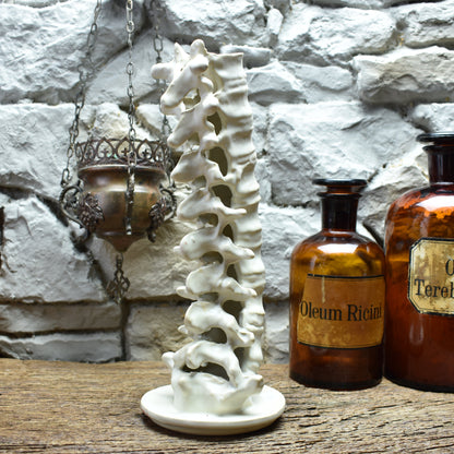 Handmade ceramic spine candle holder large white matt