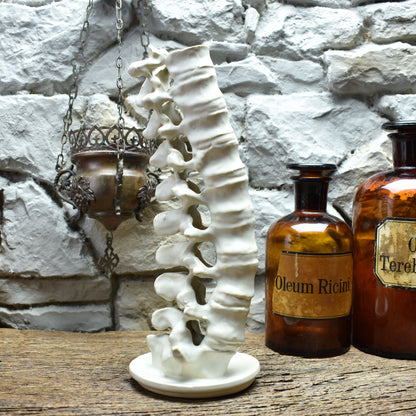 Handmade ceramic spine candle holder large white matt