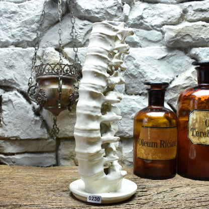 Handmade ceramic spine candle holder large white matt