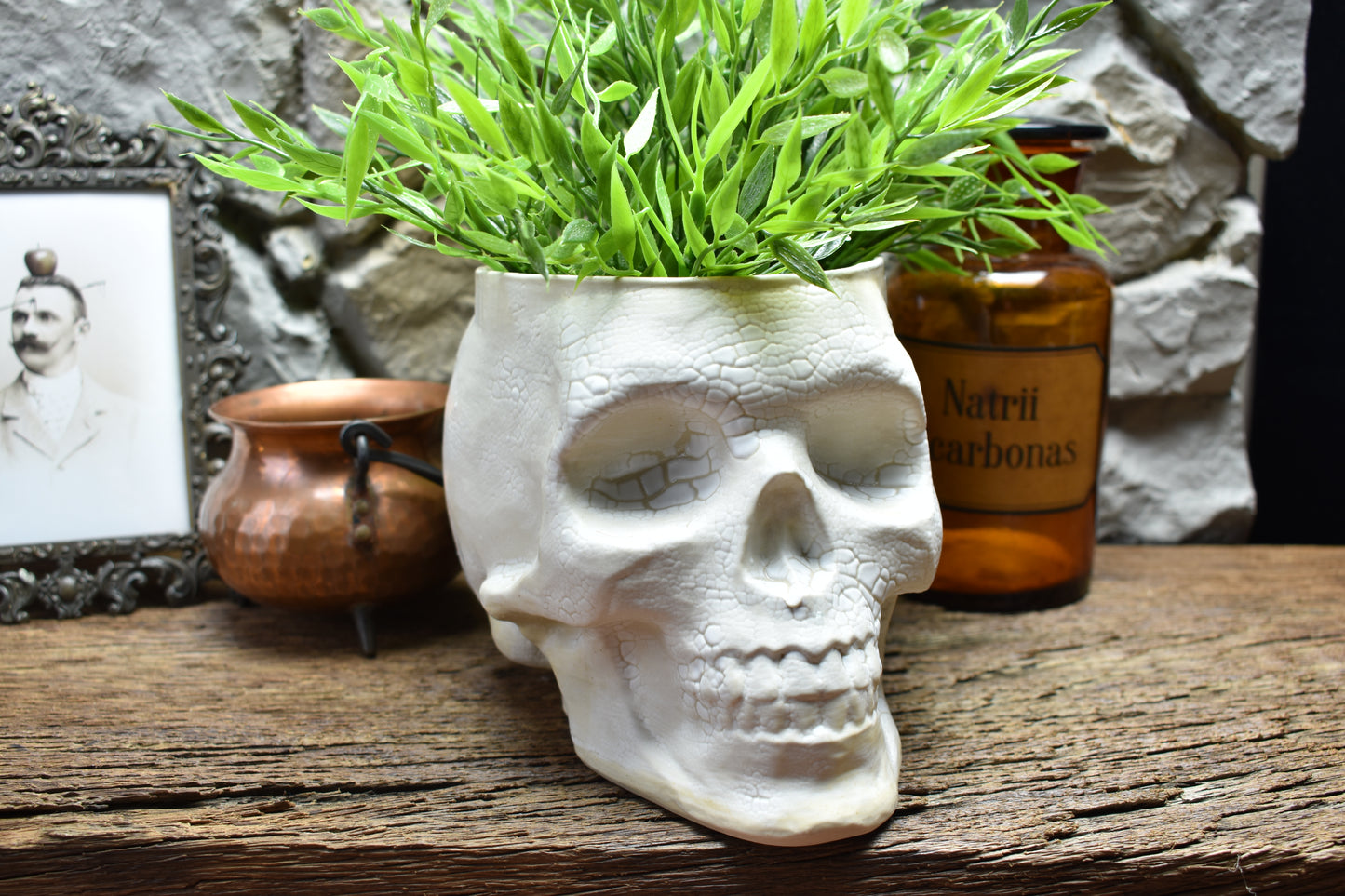Big skull plantpot cracked white