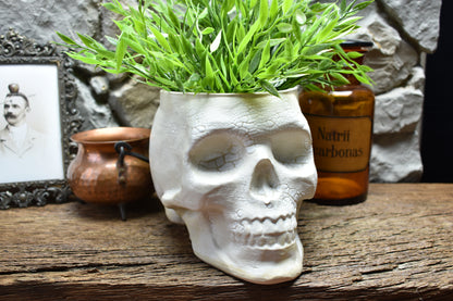 Big skull plantpot cracked white
