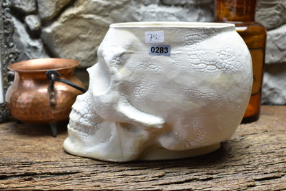 Big skull plantpot cracked white