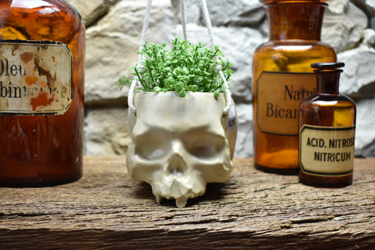 Small hanging skull plantpot white matt 2