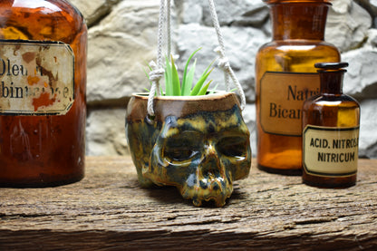 Small hanging skull plantpot brown/blue 3
