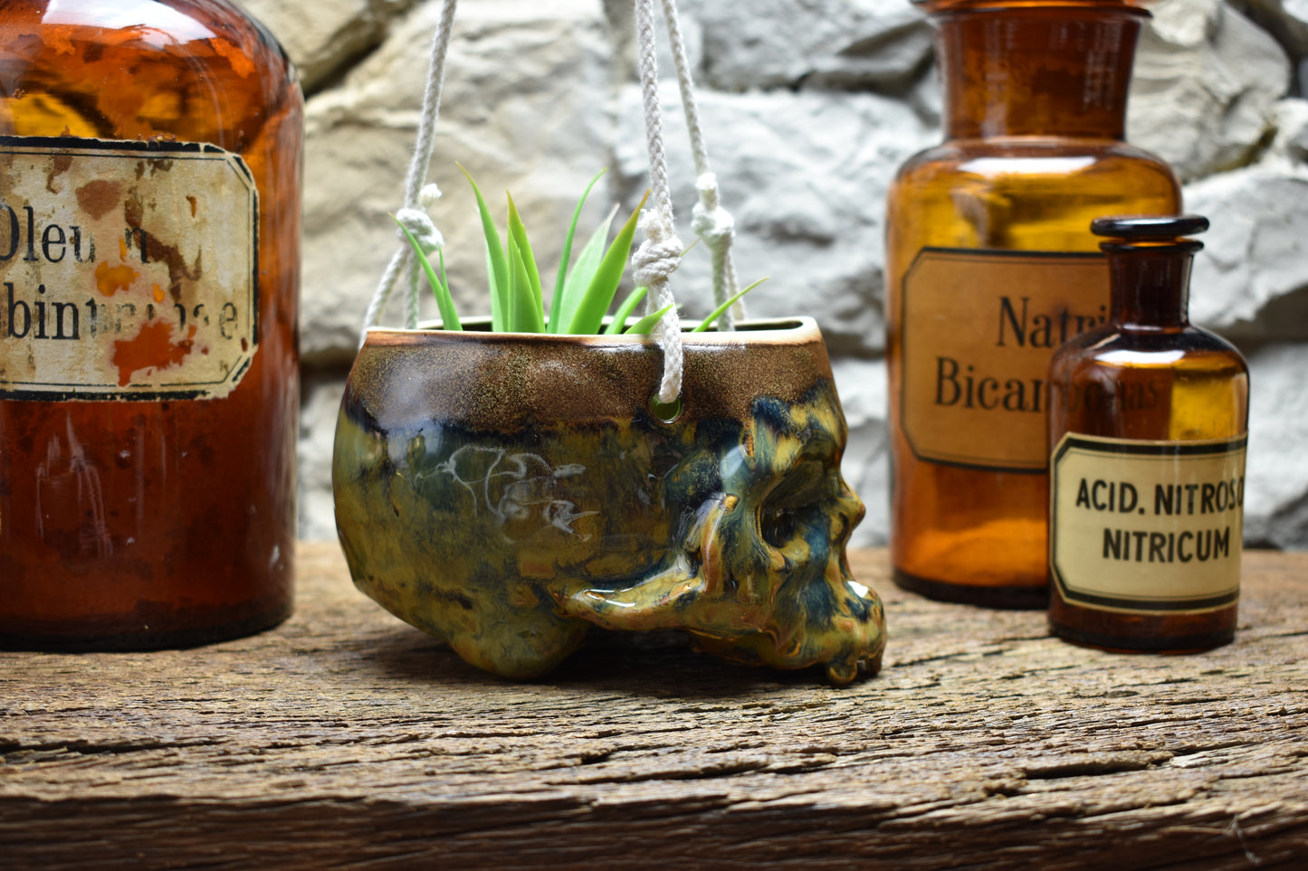 Small hanging skull plantpot brown/blue 3