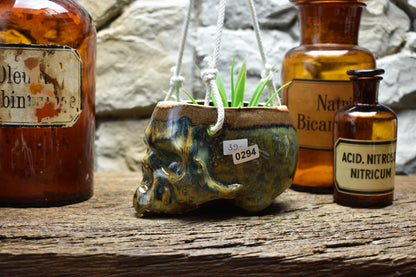 Small hanging skull plantpot brown/blue 3