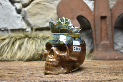 Small skull plantpot - brown and effect glaze 2