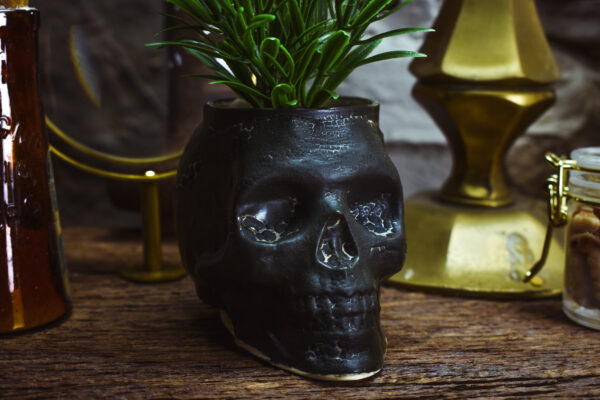 Small skull plantpot black matt