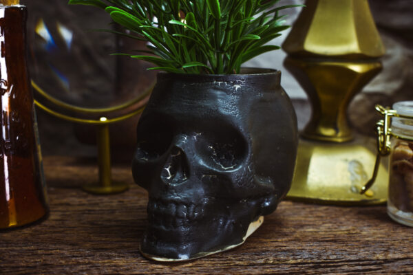 Small skull plantpot black matt - Image 4