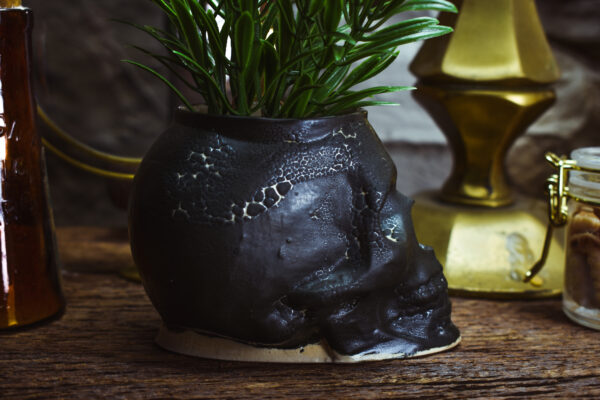 Small skull plantpot black matt - Image 2