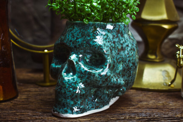 Small skull plantpot shiny turquoise effect - Image 5