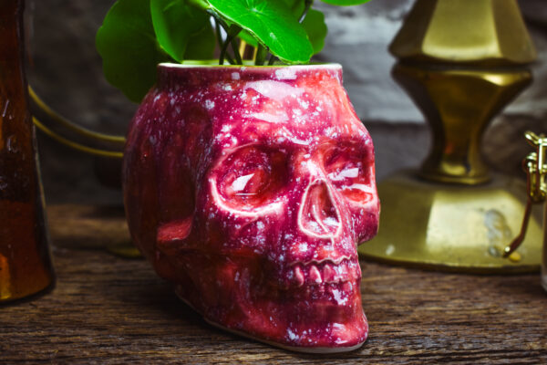 Small skull plantpot shiny pink effect