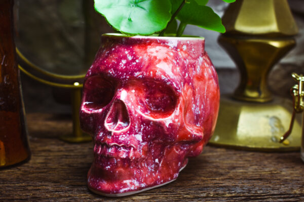 Small skull plantpot shiny pink effect - Image 5