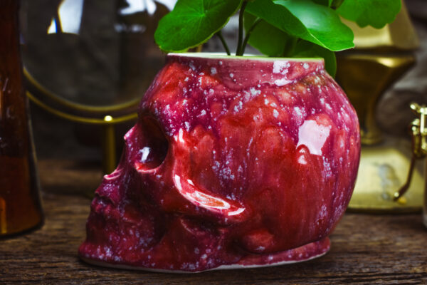 Small skull plantpot shiny pink effect - Image 4