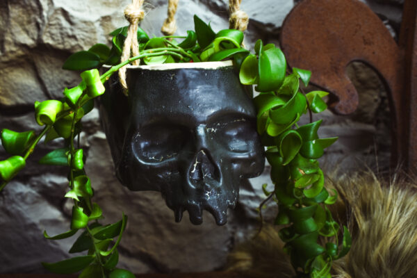 Medium size hanging skull plantpot black matt