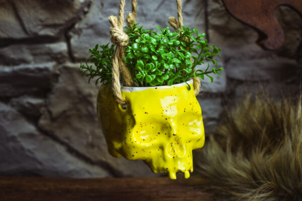 Small hanging skull plantpot shiny yellow with small dots