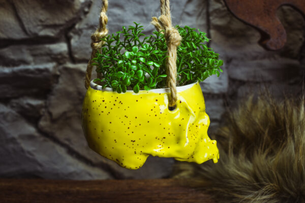 Small hanging skull plantpot shiny yellow with small dots - Image 3