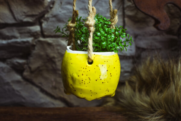 Small hanging skull plantpot shiny yellow with small dots - Image 2