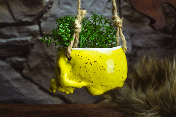 Small hanging skull plantpot shiny yellow with small dots - Image 5