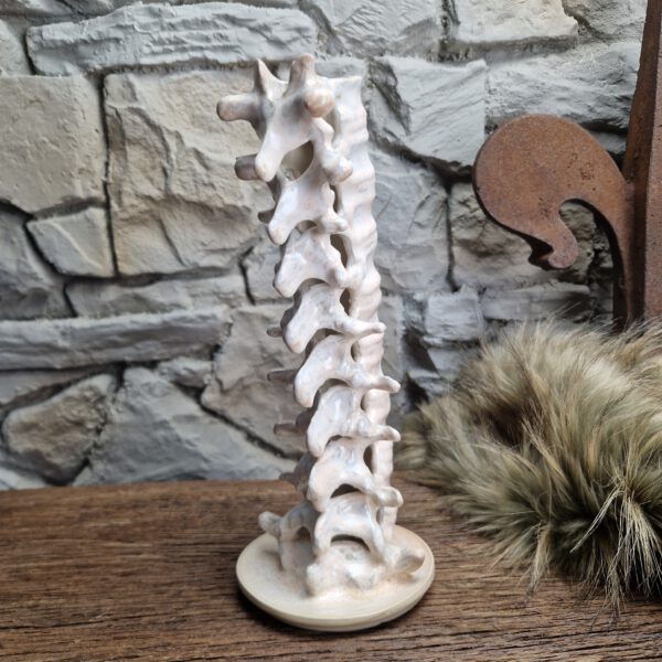Handmade ceramic spine candle holder white beige effect - Image 5