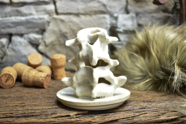 Handmade ceramic small spine candle holder matt white 1 - Image 6