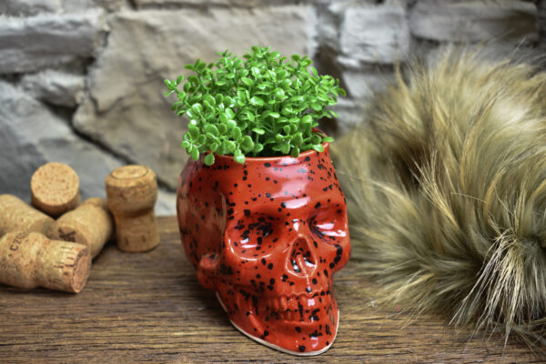 Small skull plantpot red with black spots