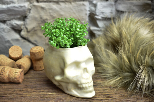 Small skull plantpot white matt