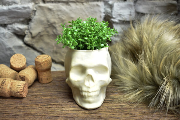 Small skull plantpot white matt - Image 3
