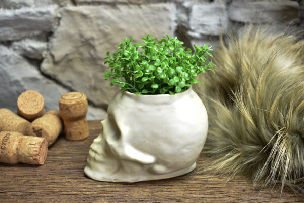 Small skull plantpot white matt - Image 2