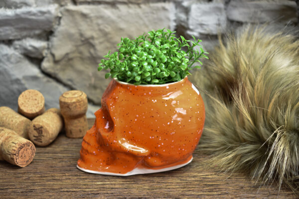 Small skull plantpot shiny orange - Image 3