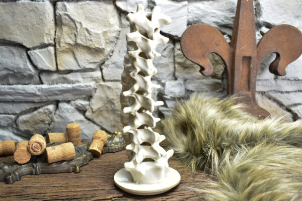 Handmade ceramic spine candle holder white matt - Image 5