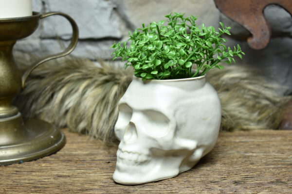 Small skull plantpot white matt - Image 5