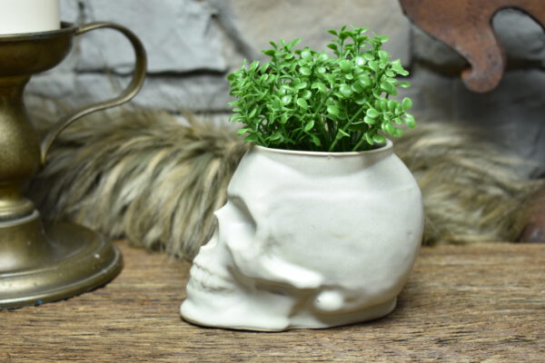 Small skull plantpot white matt - Image 4