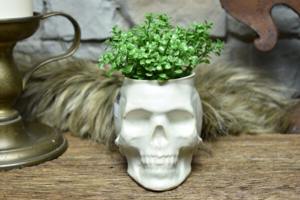 Small skull plantpot white matt