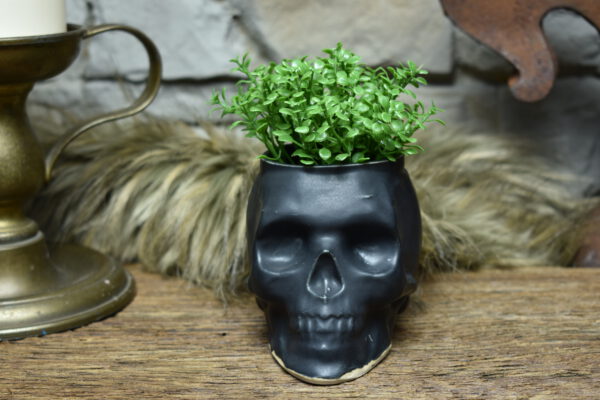 Small skull plantpot black matt 2 - Image 4