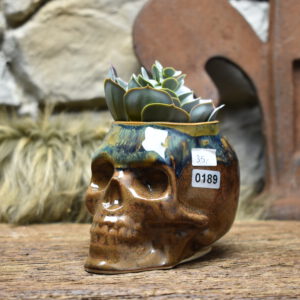 Small skull plantpot - brown and effect glaze 2